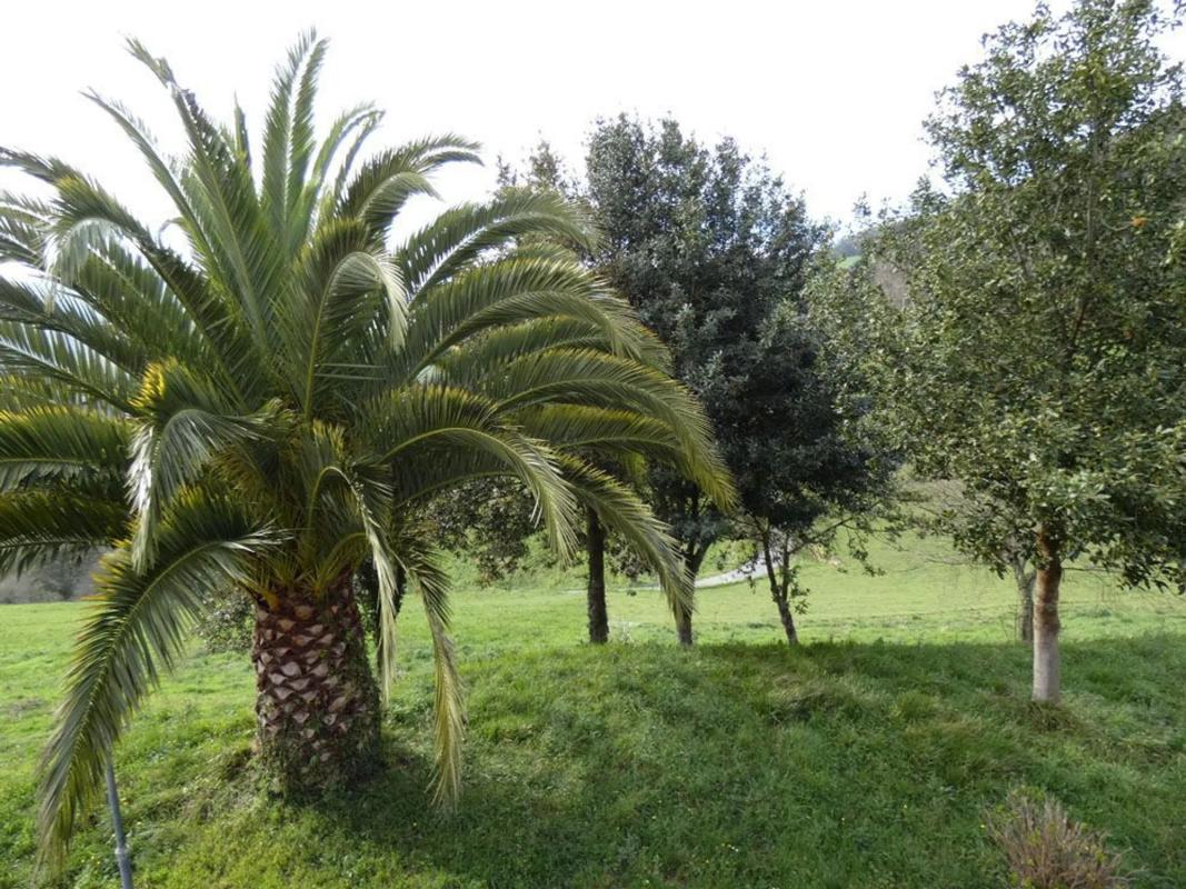 Недвижимость на продажу и в аренду в Испании photo 4