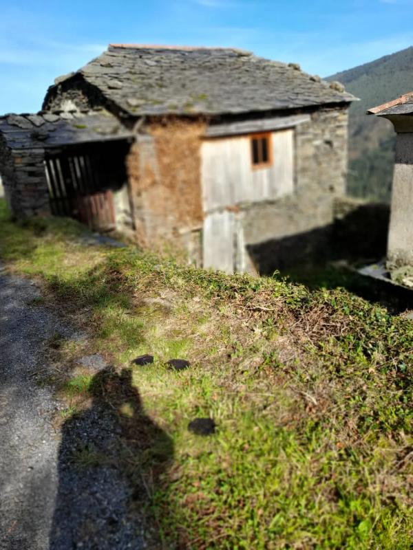 Properties for sale and rent in Spain photo 2