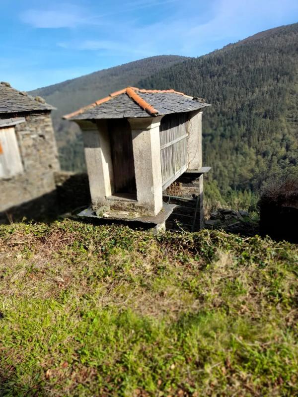 Properties for sale and rent in Spain photo 4