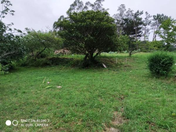 Casa de pueblo en Presa s/n Sn thumbnail 1