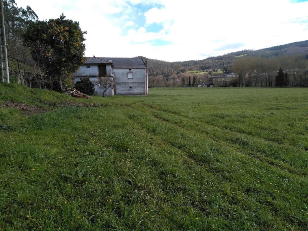Sale of rural property in Barrio Vegas, 26 , San Tirso de Abres photo 4