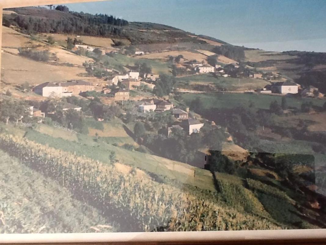 Propiedades en venta y alquiler en España photo 1