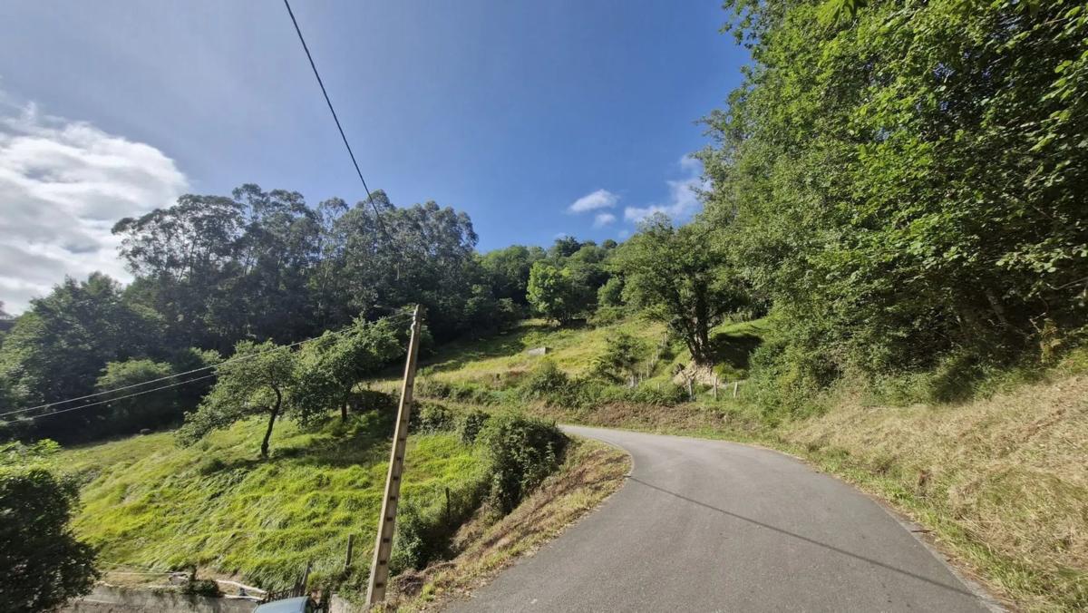 Propiedades en venta y alquiler en España photo 5