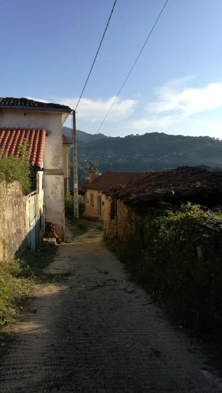 Properties for sale and rent in Spain photo 4