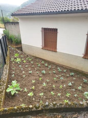 Casa de pueblo en Canzana, 1 photo 1