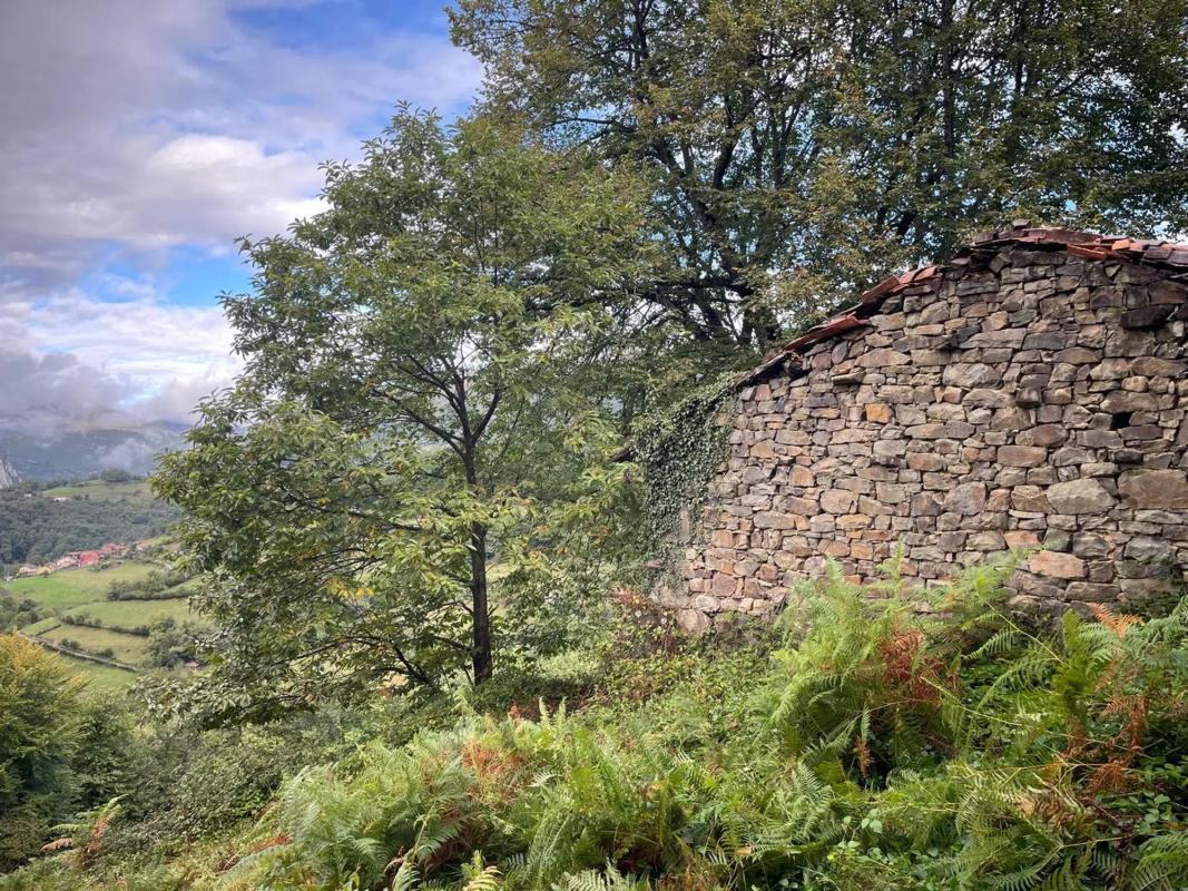 Venta de finca rústica en Camino El Biforcal s/n , Caso photo 1