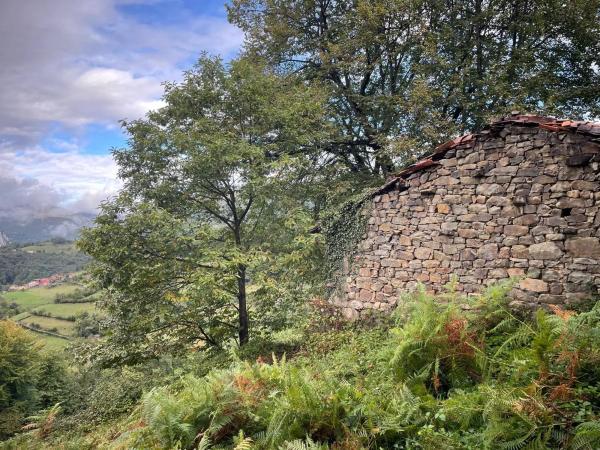Finca rústica en venta en  Camino El Biforcal s/n , Caso photo 1