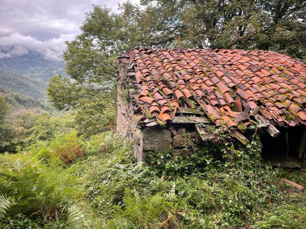 Venta de finca rústica en Camino El Biforcal s/n , Caso photo 3