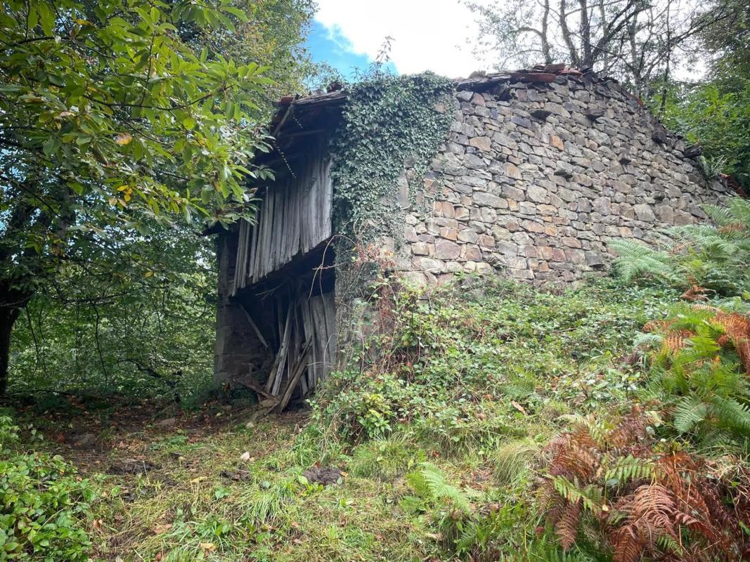 Venta de finca rústica en Camino El Biforcal s/n , Caso photo 5