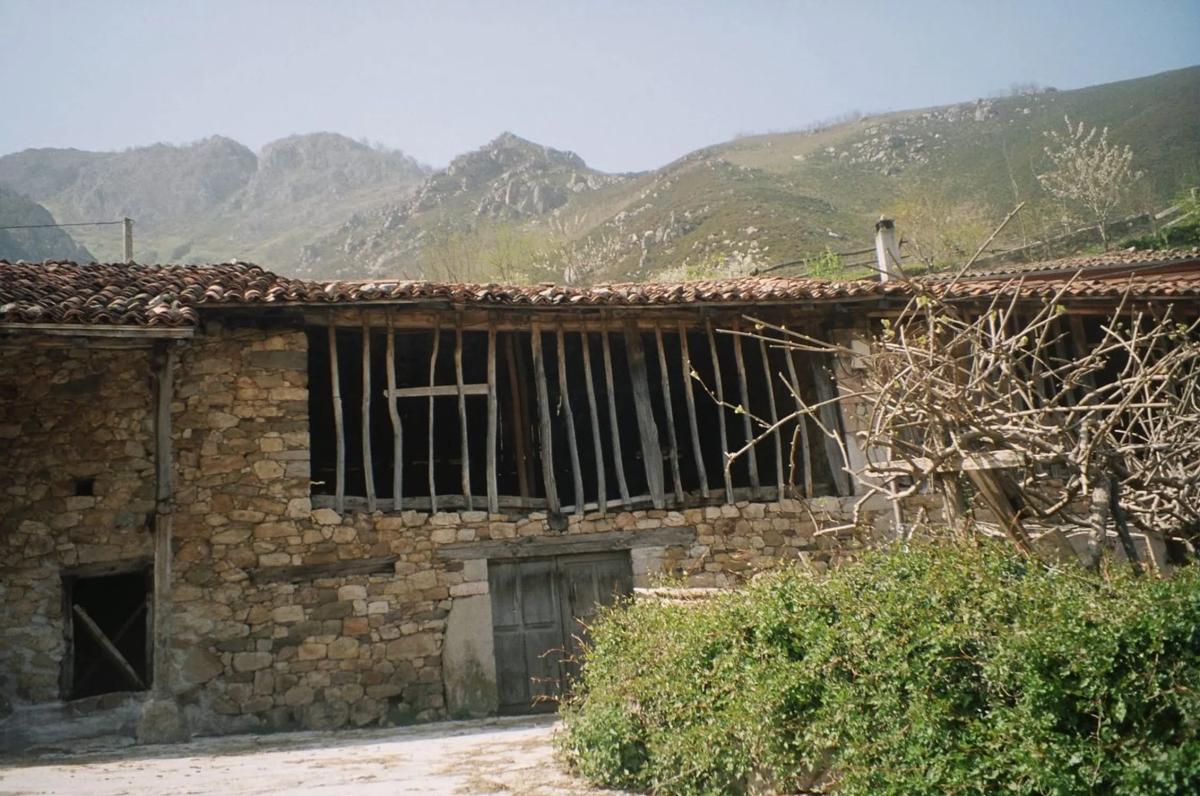 Propiedades en venta y alquiler en España photo 1