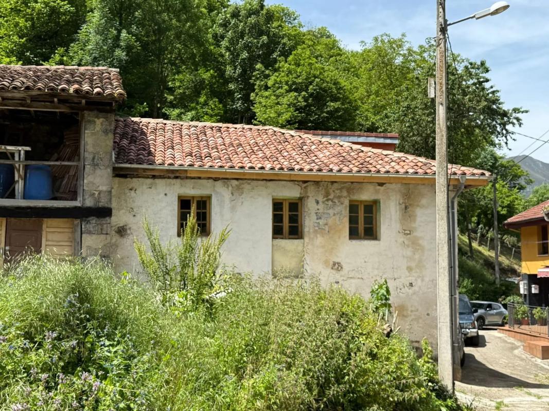 Properties for sale and rent in Spain photo 3