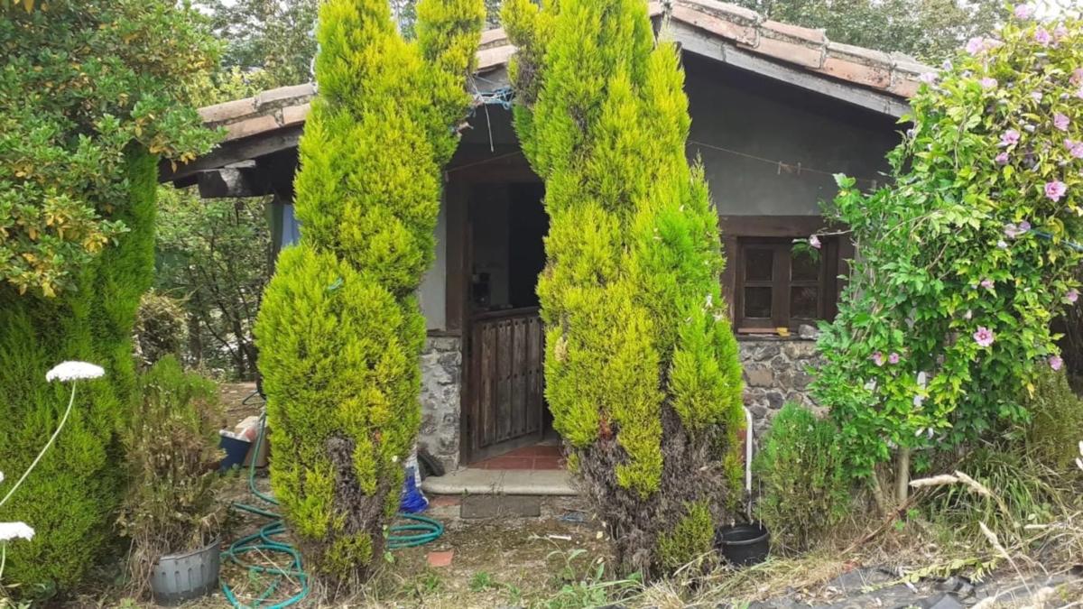Properties for sale and rent in Spain photo 3