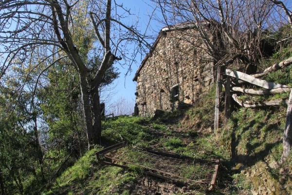 Finca rústica en venta en  Camino cementerio, 2 , Caso photo 1