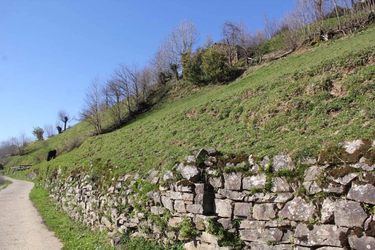 Venta de finca rústica en  Camino cementerio, 2 , Caso photo 2