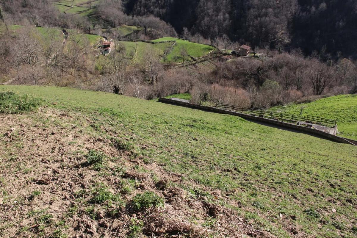 Venta de finca rústica en  Camino cementerio, 2 , Caso photo 3