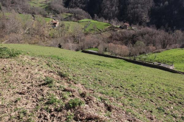 Finca rústica en venta en  Camino cementerio, 2 , Caso photo 3