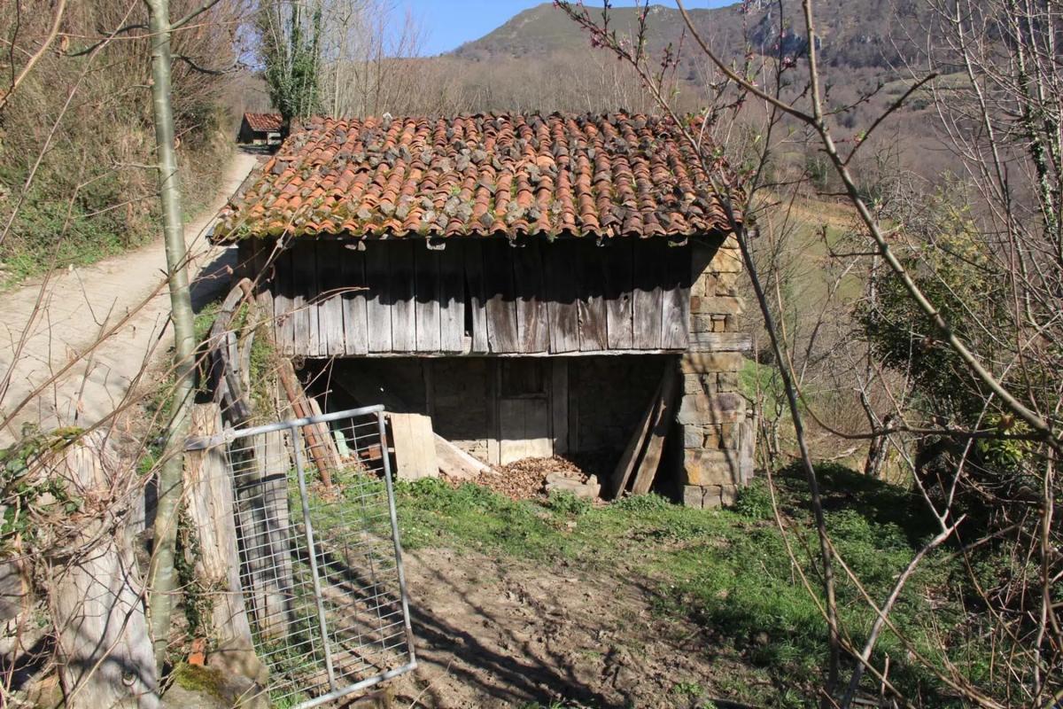 Venta de finca rústica en  Camino cementerio, 2 , Caso photo 4