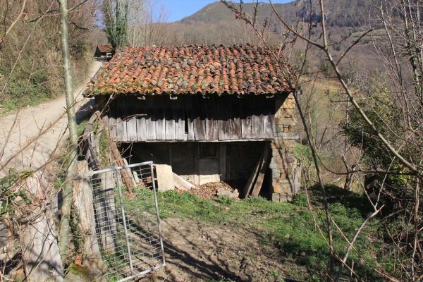 Finca rústica en venta en  Camino cementerio, 2 , Caso photo 4