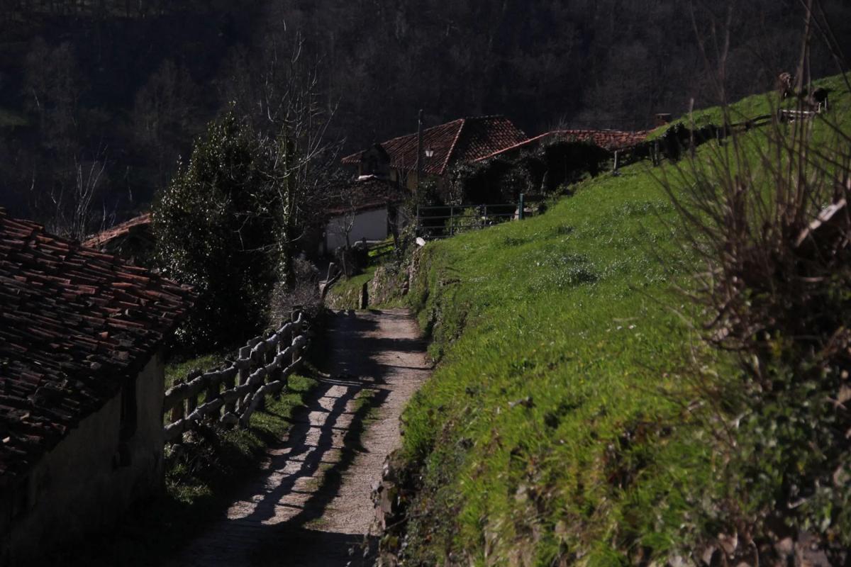 Venta de finca rústica en  Camino cementerio, 2 , Caso photo 5