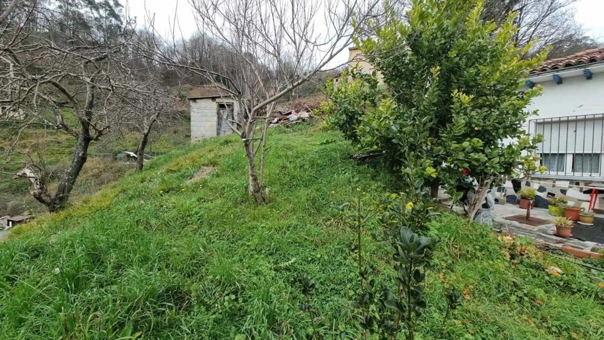 Propiedades en venta y alquiler en España photo 3
