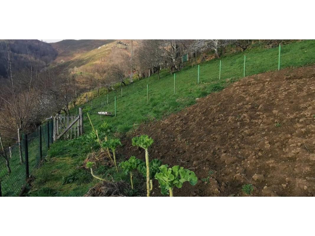 Venta de finca rústica en AS-252 , Laviana photo 3