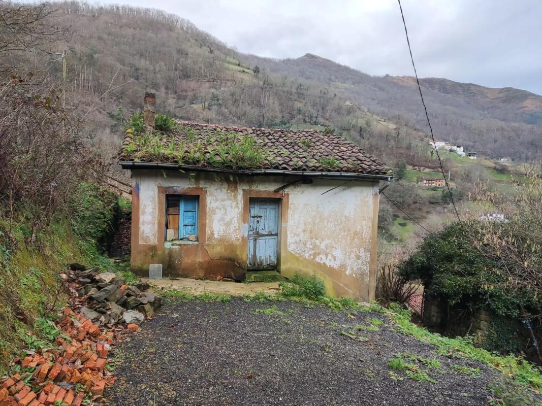 Propiedades en venta y alquiler en España photo 4