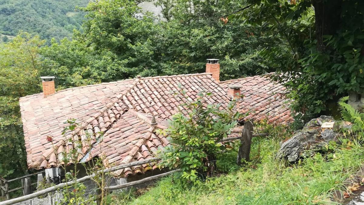 Properties for sale and rent in Spain photo 5