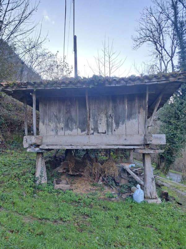 Propiedades en venta y alquiler en España photo 5