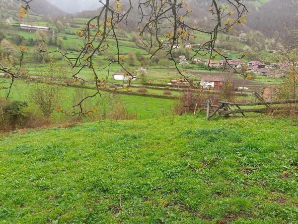 Finca rustykalna na sprzedaż w Bezanes nucleo rural s/n SN , Caso photo 1