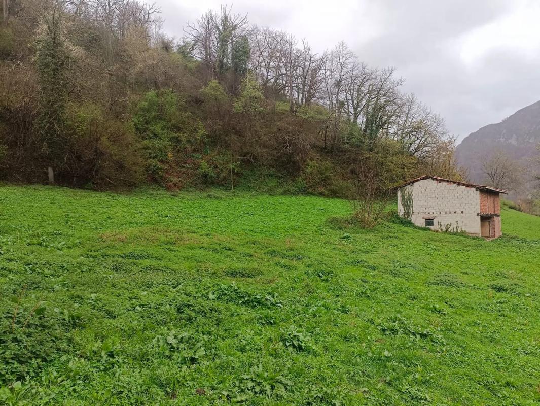 Venta de finca rústica en  Bezanes nucleo rural s/n SN , Caso photo 2