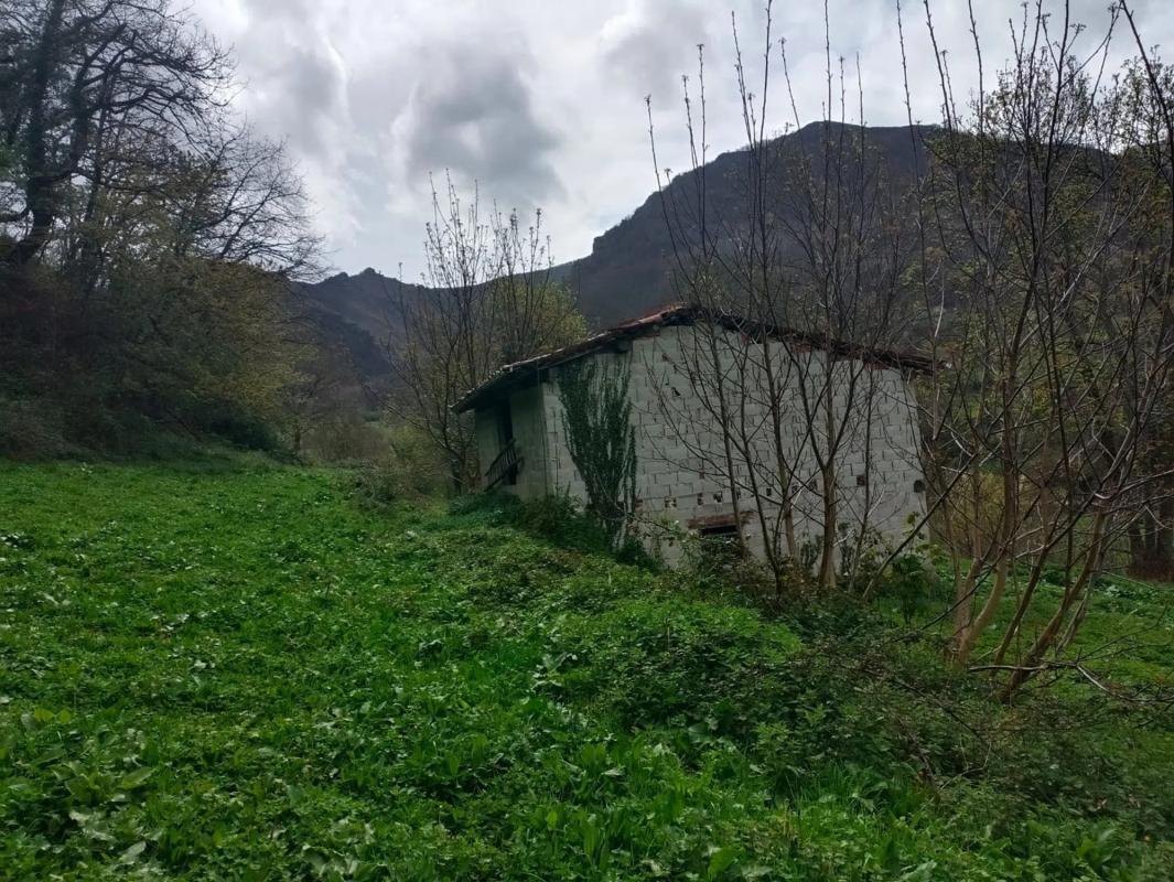 Venta de finca rústica en  Bezanes nucleo rural s/n SN , Caso photo 5