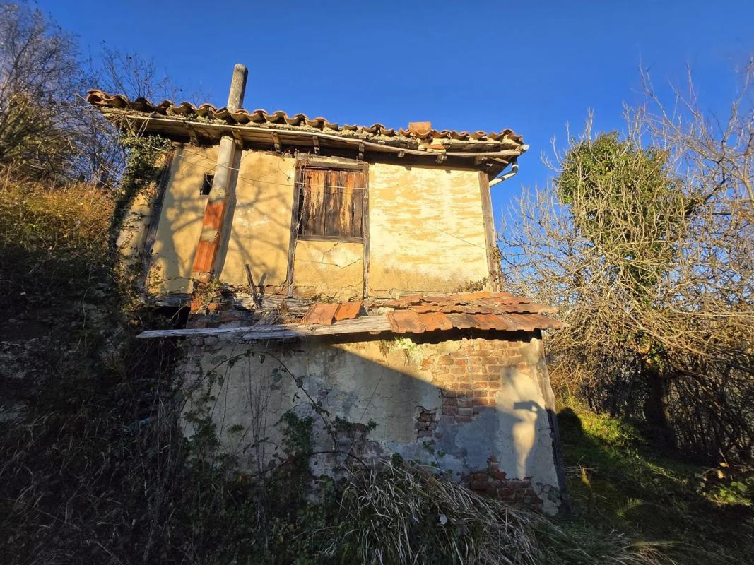 Propiedades en venta y alquiler en España photo 2