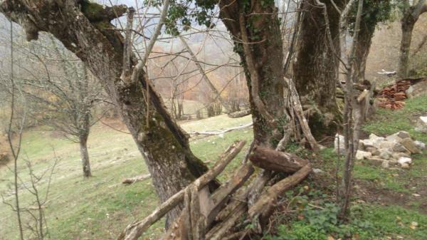 Casa rural en La felguerina, 29 thumbnail 2