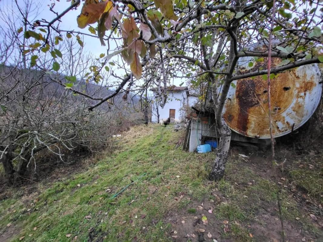 Venta de finca rústica en Laviana , Laviana photo 4