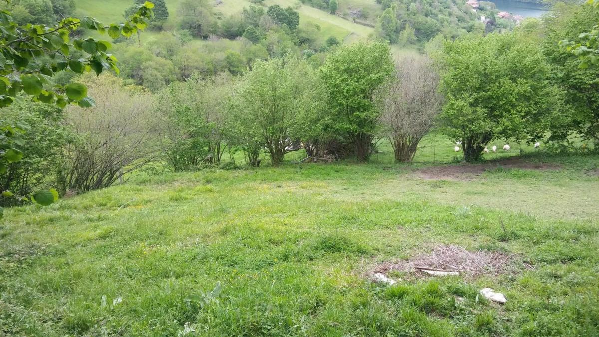 Venta de finca rústica en Tanes s/n , Caso photo 4