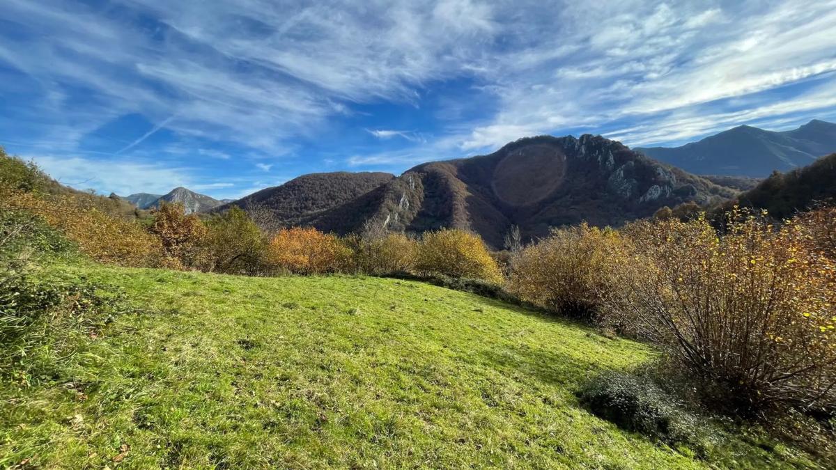 Propiedades en venta y alquiler en España photo 5