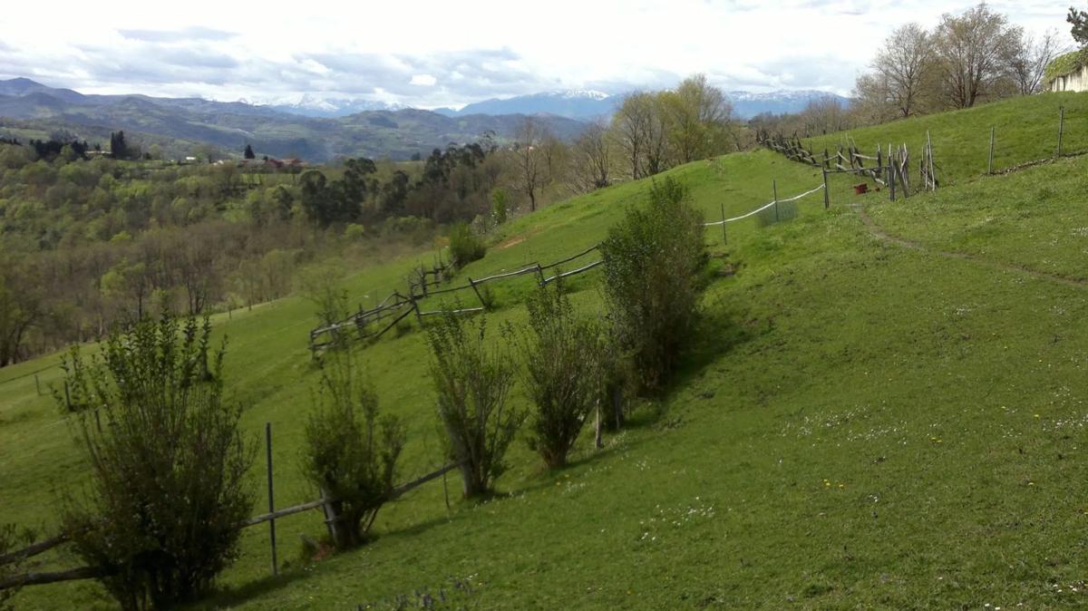 Venta de finca rústica en  Carretera Tuilla a Gargantada s/n , Langreo photo 5