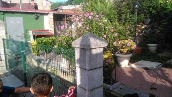 Casa independiente en Lada, 23 photo 2