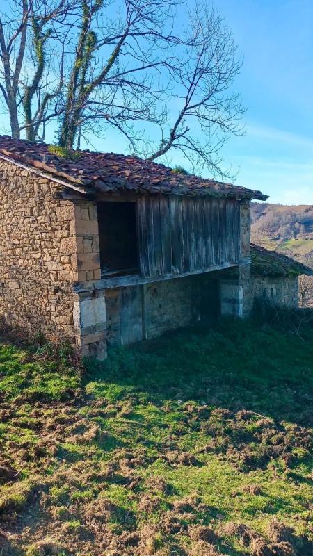 Properties for sale and rent in Spain photo 2
