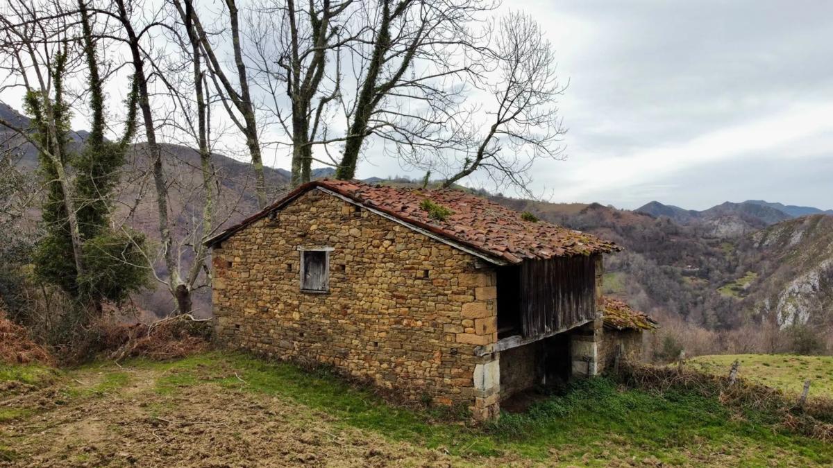 Properties for sale and rent in Spain photo 3