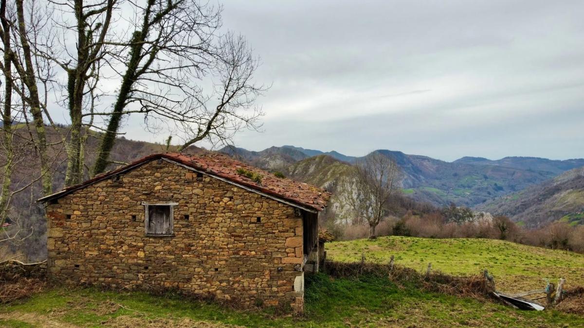 Properties for sale and rent in Spain photo 4