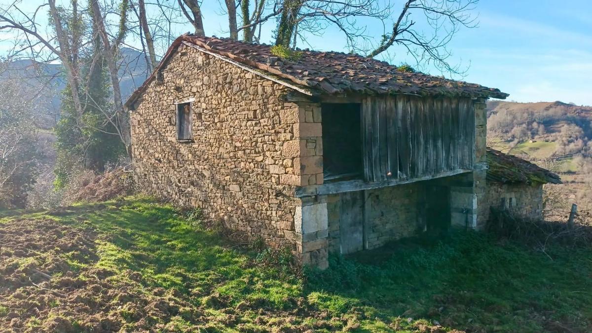 Properties for sale and rent in Spain photo 5