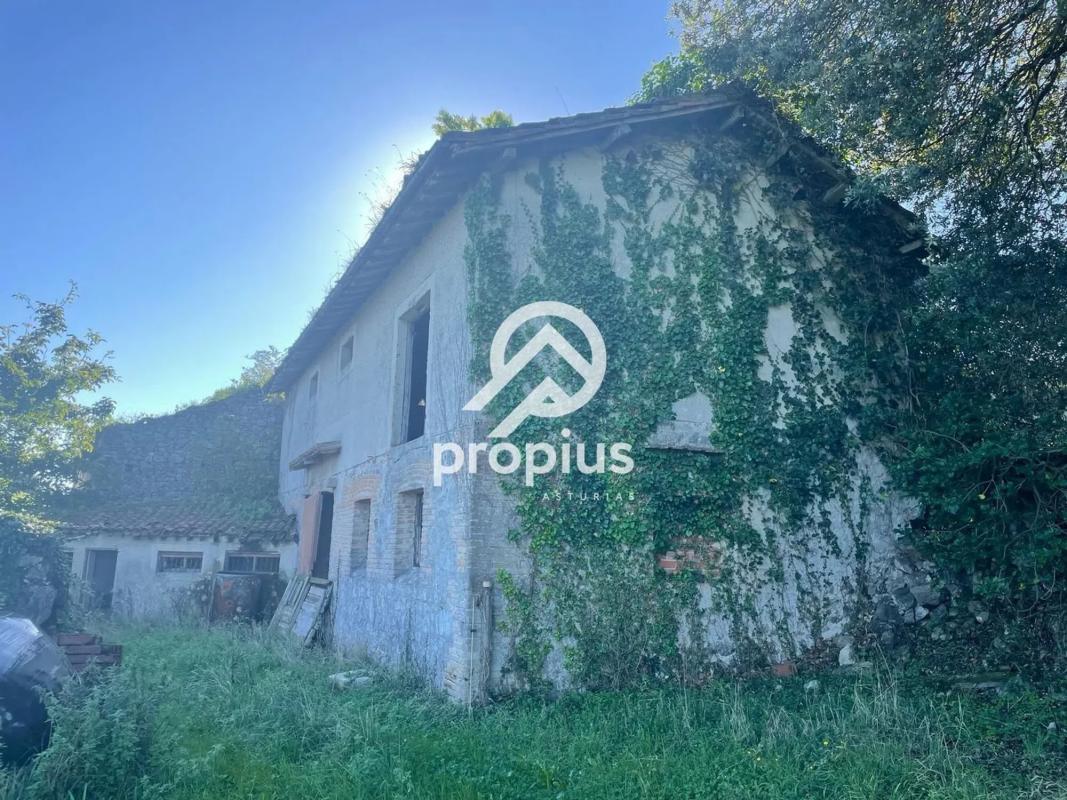 Propiedades en venta y alquiler en España photo 4