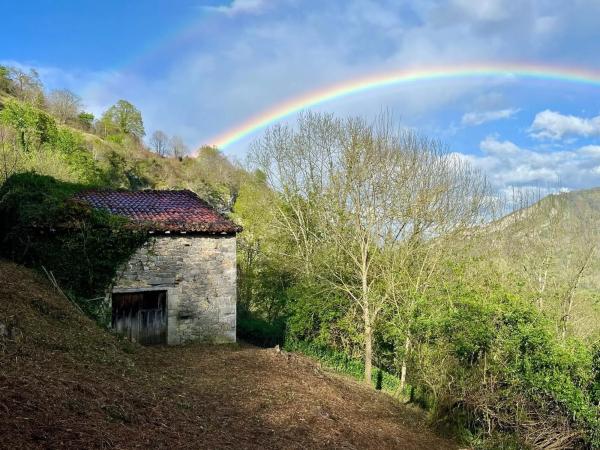 Rustic farm for sale in  Lugar la Molina, 2 A , Cabrales photo