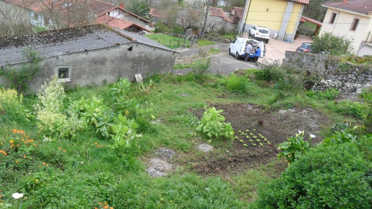 Propiedades en venta y alquiler en España photo 2