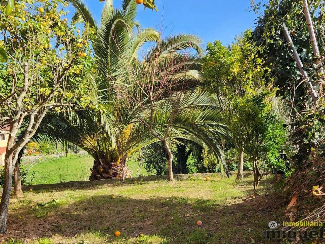 Properties for sale and rent in Spain photo 5