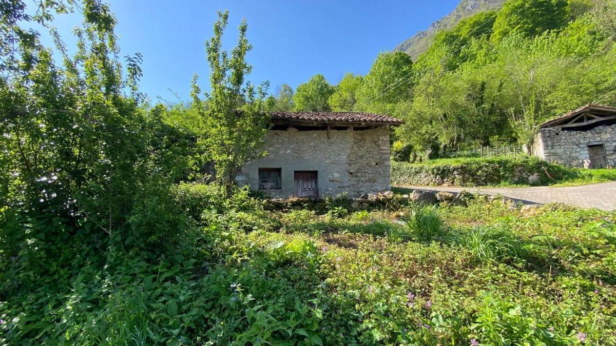 Propiedades en venta y alquiler en España photo 1
