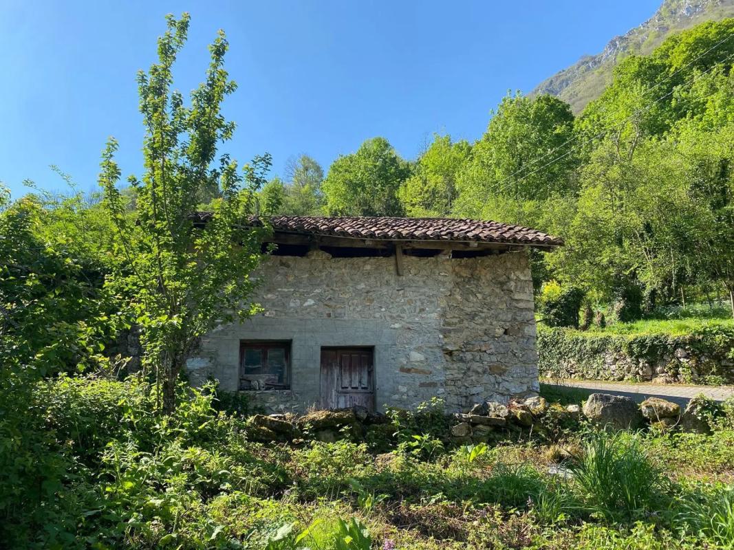 Propiedades en venta y alquiler en España photo 4