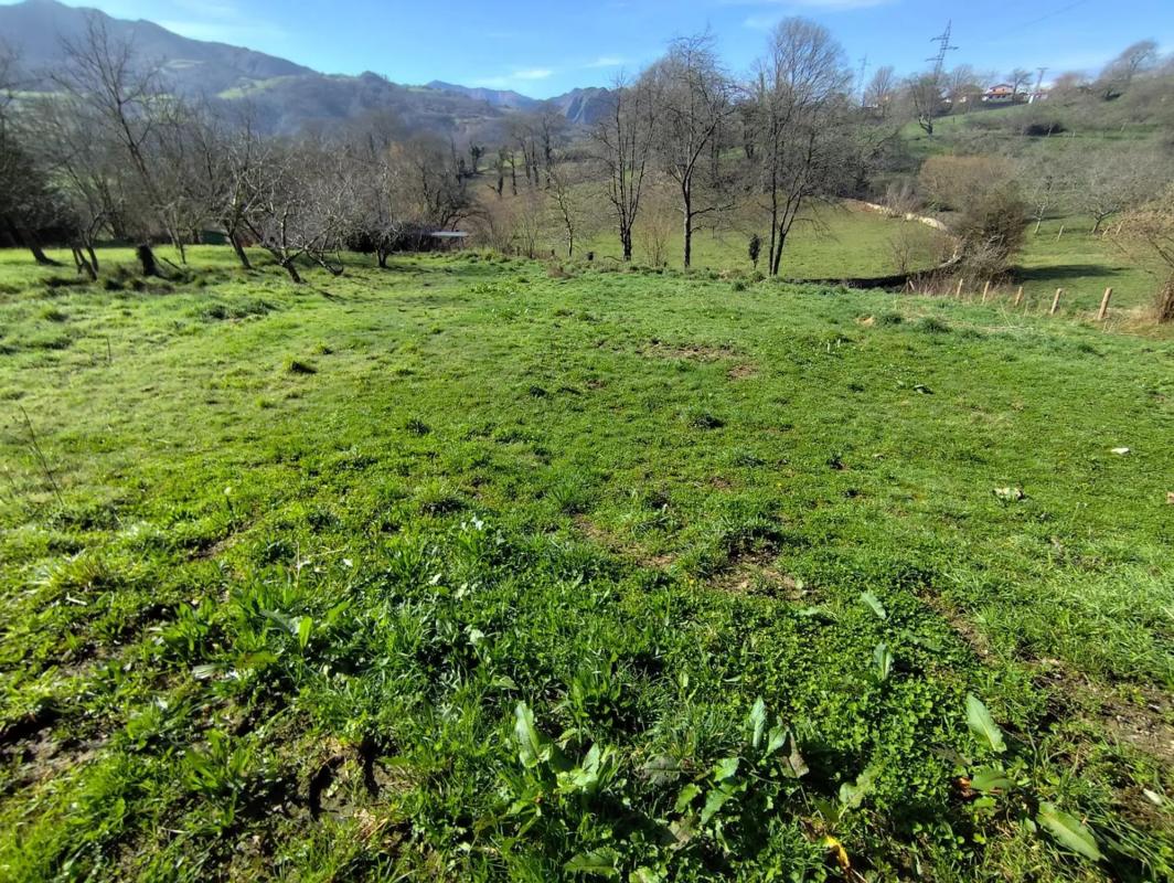 Propiedades en venta y alquiler en España photo 3