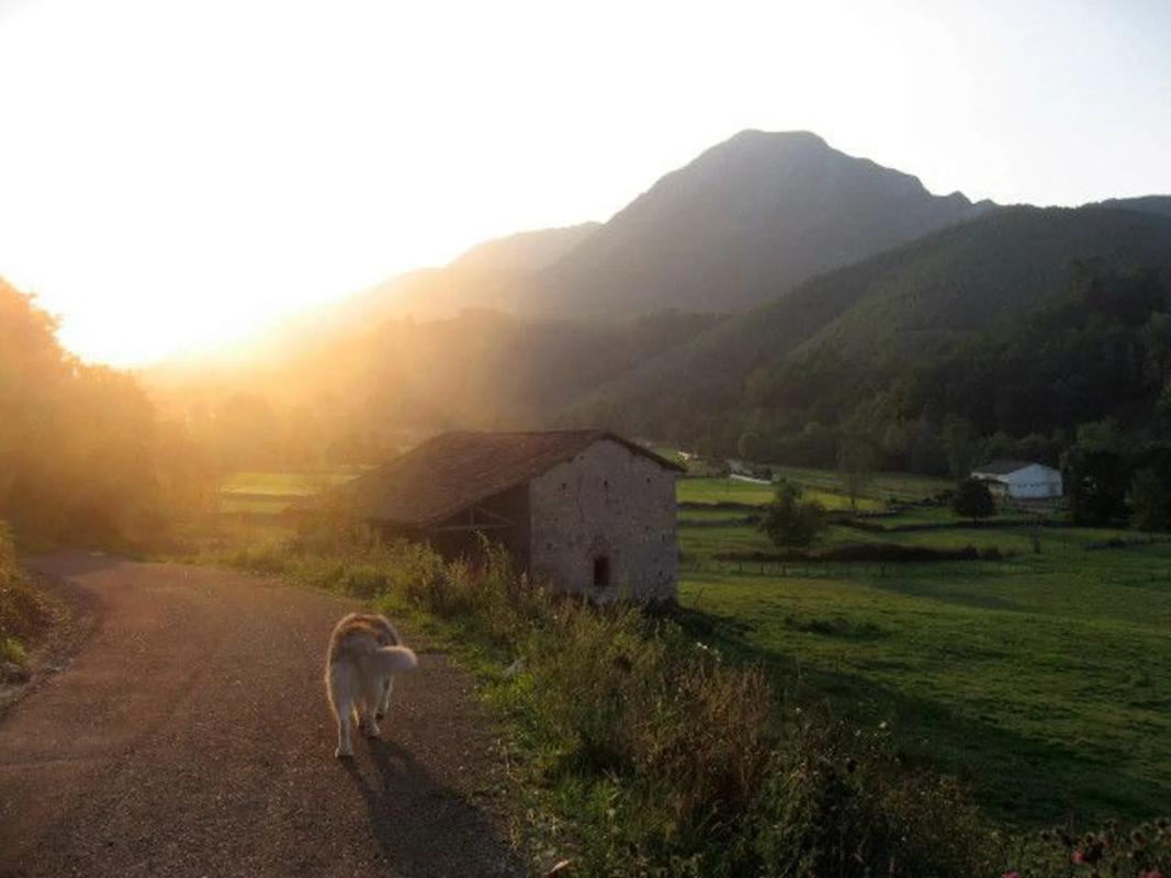 Nieruchomości na sprzedaż i do wynajęcia w Hiszpanii photo 1